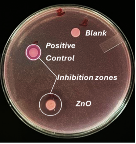 Accelerating discovery and scale up of antimicrobial nano zinc oxide ...