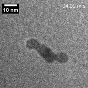 Oriented Attachment Observation