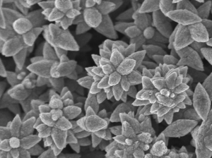 New Whitepapers from AM Academy